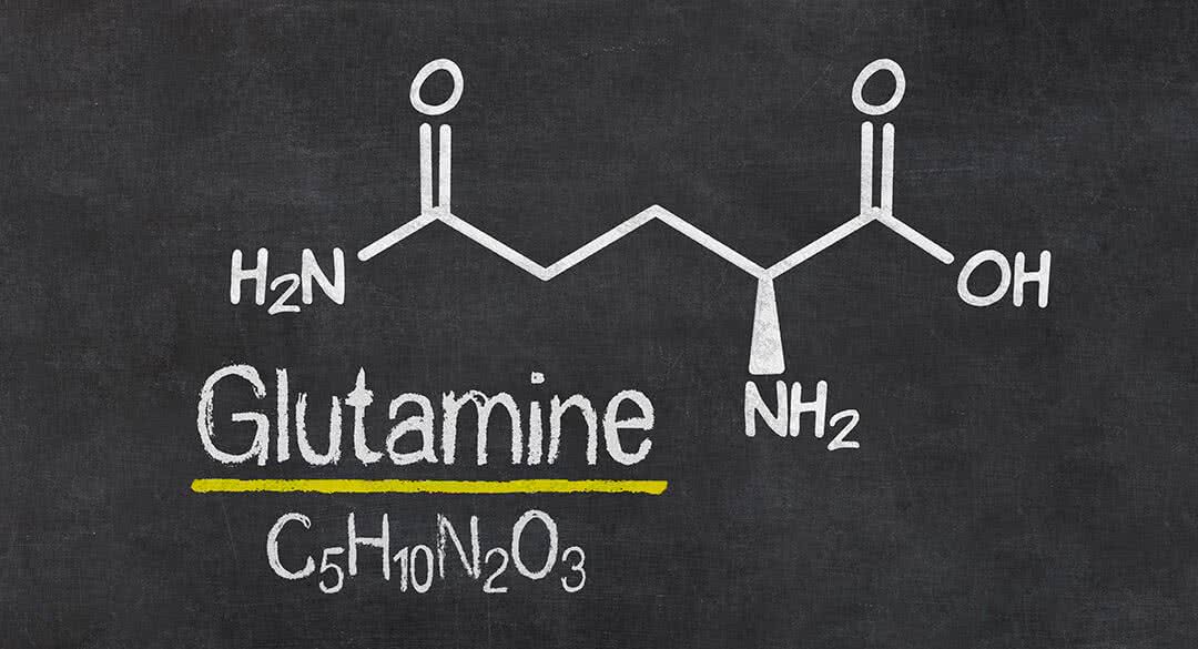 a glutamin segít a zsírvesztésben